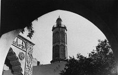 ORAN 02410